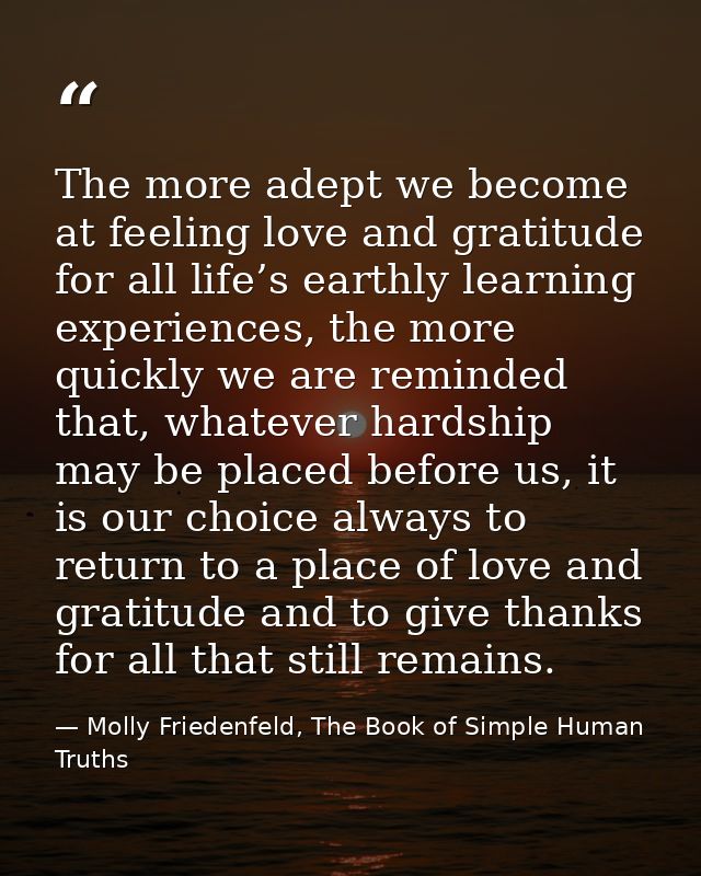 The more adept we become at feeling love and gratitude for all life’s earthly learning experiences, the more quickly we  — Molly Friedenfeld, The Book of Simple Human Truths