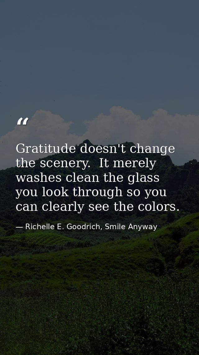 Gratitude doesn't change the scenery.  It merely washes clean the glass you look through so you can clearly see the colo — Richelle E. Goodrich, Smile Anyway
