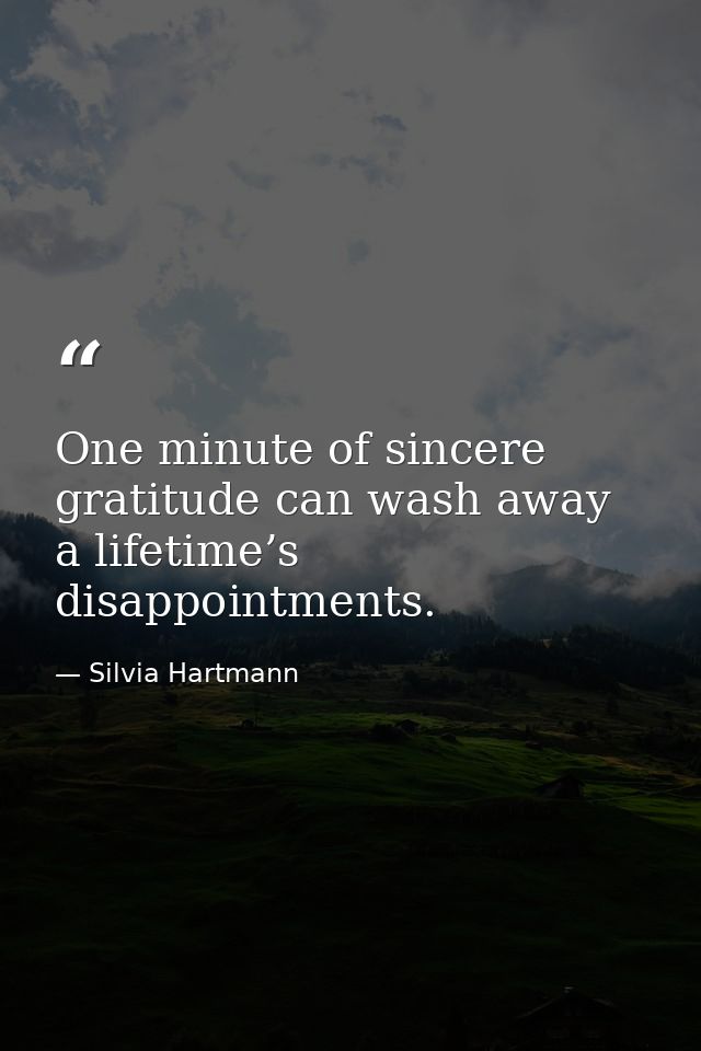 One minute of sincere gratitude can wash away a lifetime’s disappointments. — Silvia Hartmann