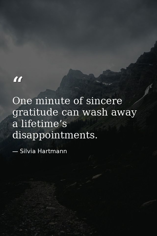 One minute of sincere gratitude can wash away a lifetime’s disappointments. — Silvia Hartmann