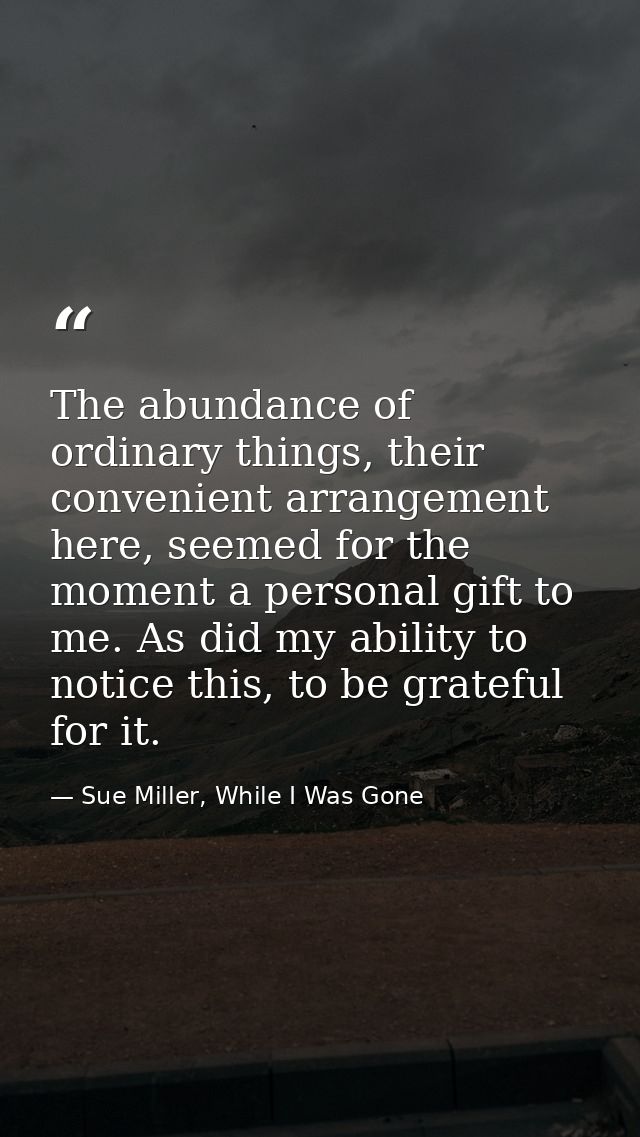 The abundance of ordinary things, their convenient arrangement here, seemed for the moment a personal gift to me. As did — Sue Miller, While I Was Gone