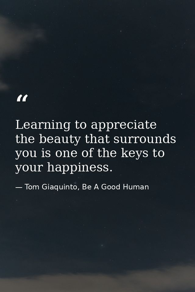 Learning to appreciate the beauty that surrounds you is one of the keys to your happiness. — Tom Giaquinto, Be A Good Human