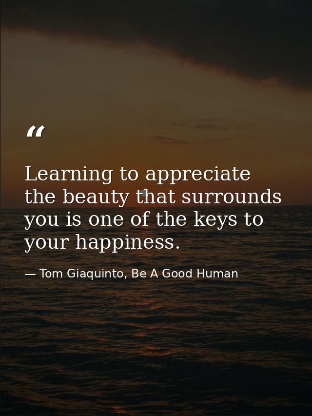 Learning to appreciate the beauty that surrounds you is one of the keys to your happiness. — Tom Giaquinto, Be A Good Human