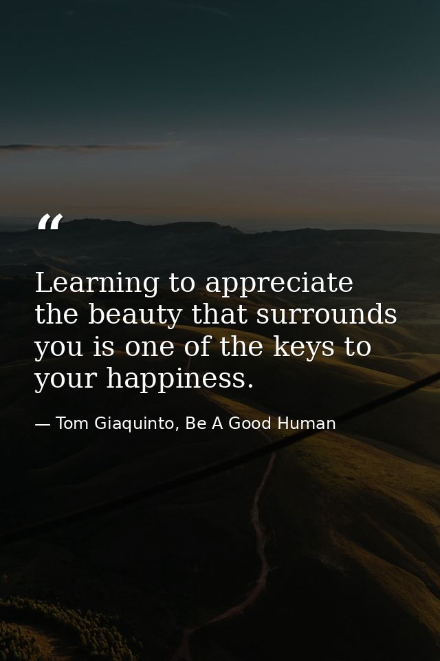 Learning to appreciate the beauty that surrounds you is one of the keys to your happiness. — Tom Giaquinto, Be A Good Human