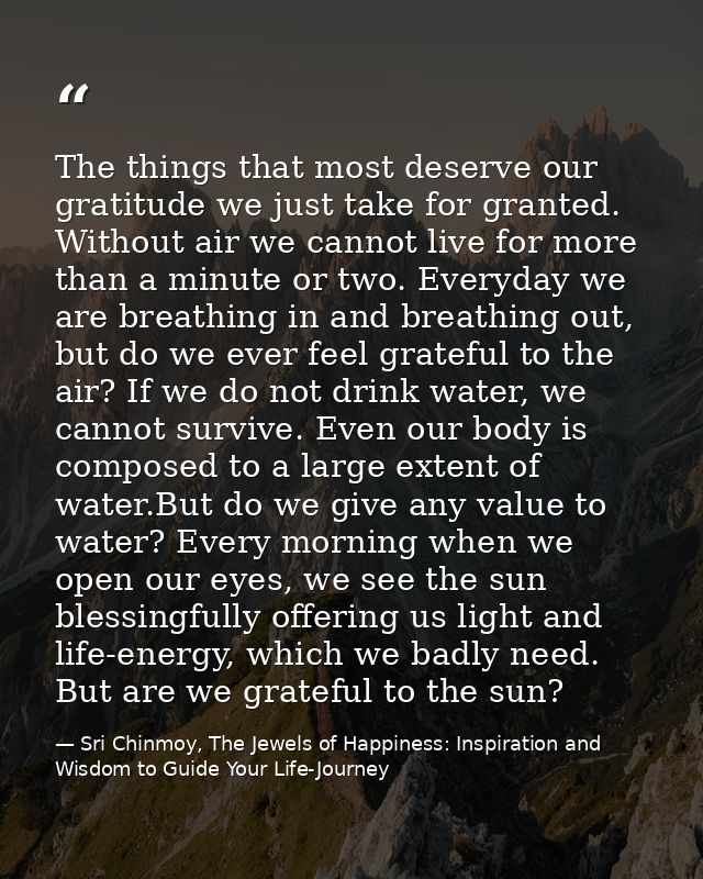 The things that most deserve our gratitude we just take for granted. Without air we cannot live for more than a minute o — Sri Chinmoy, The Jewels of Happiness: Inspiration and Wisdom to Guide Your Life-Journey
