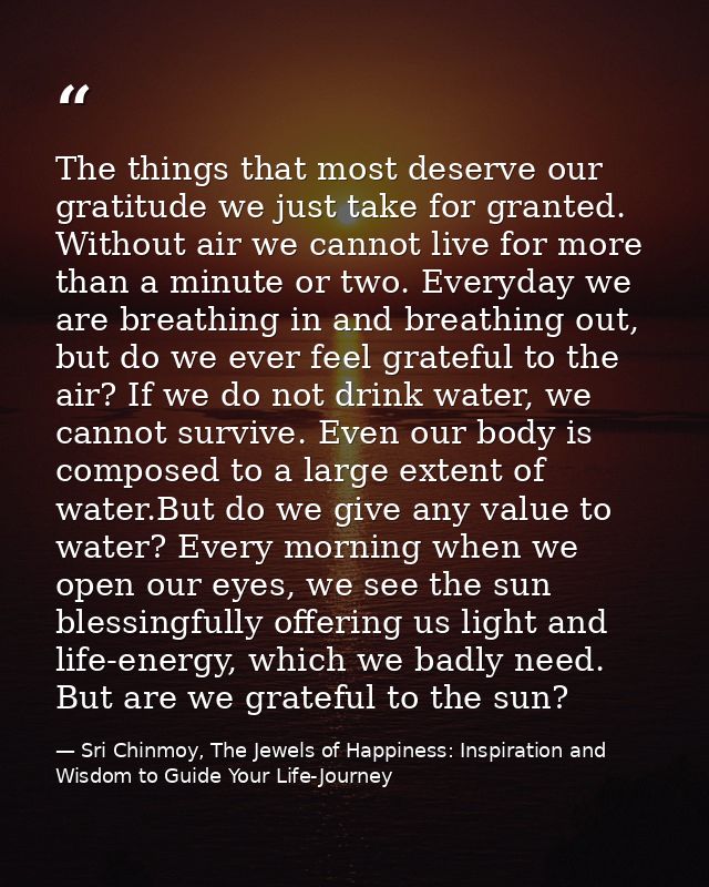 The things that most deserve our gratitude we just take for granted. Without air we cannot live for more than a minute o — Sri Chinmoy, The Jewels of Happiness: Inspiration and Wisdom to Guide Your Life-Journey