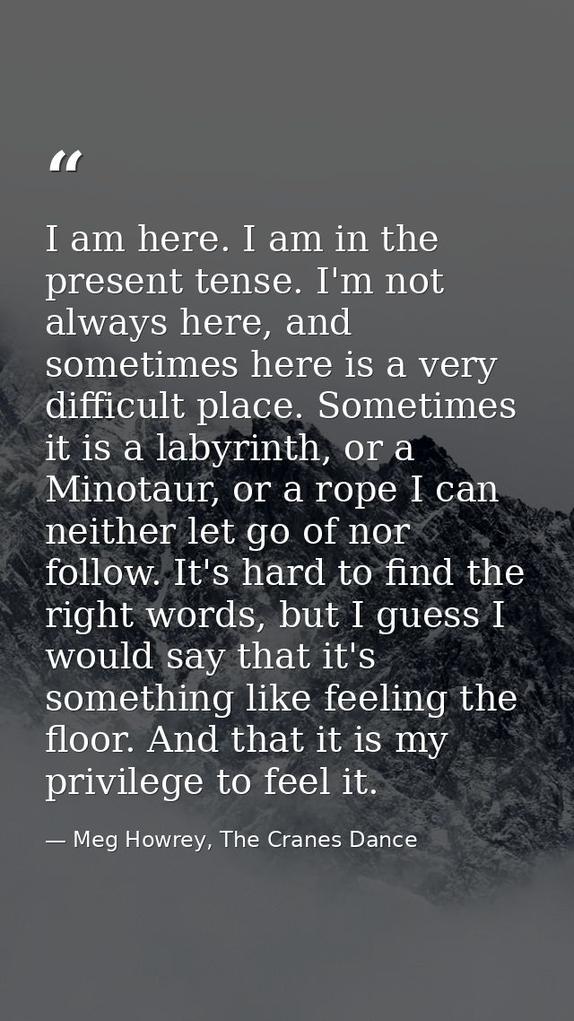 I am here. I am in the present tense. I'm not always here, and sometimes here is a very difficult place. Sometimes it is — Meg Howrey, The Cranes Dance