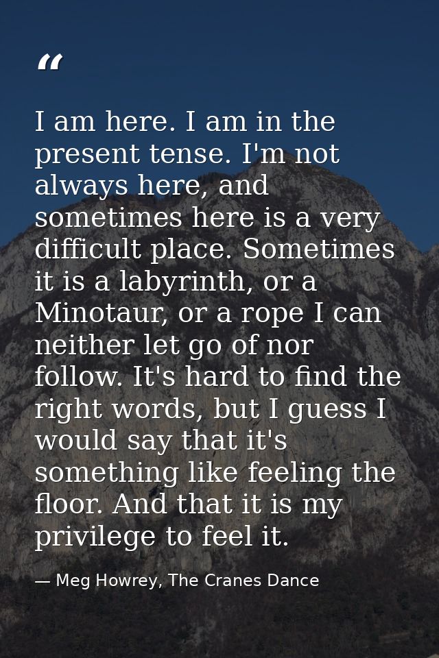 I am here. I am in the present tense. I'm not always here, and sometimes here is a very difficult place. Sometimes it is — Meg Howrey, The Cranes Dance