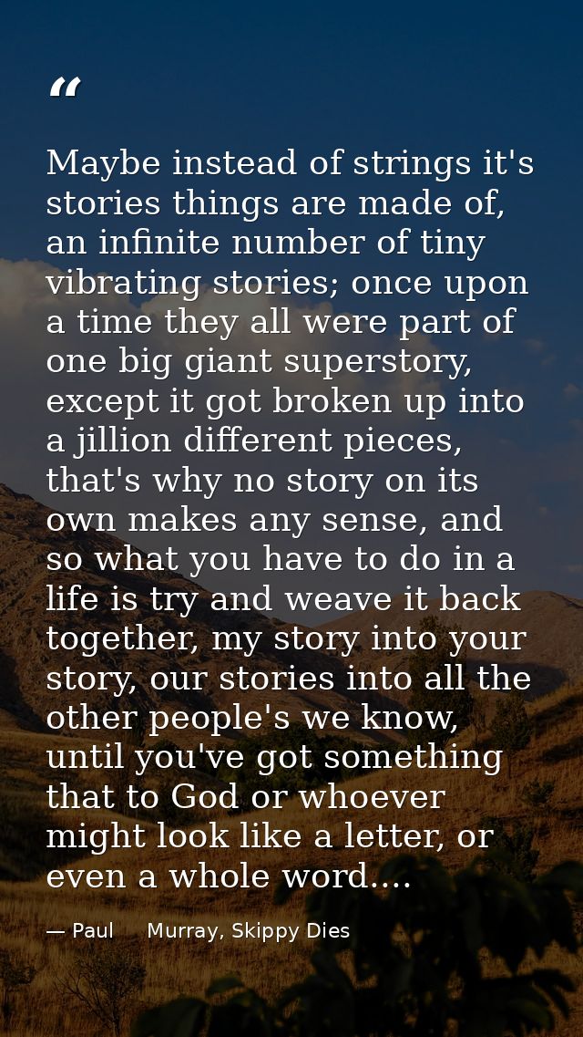 Maybe instead of strings it's stories things are made of, an infinite number of tiny vibrating stories; once upon a time — Paul     Murray, Skippy Dies