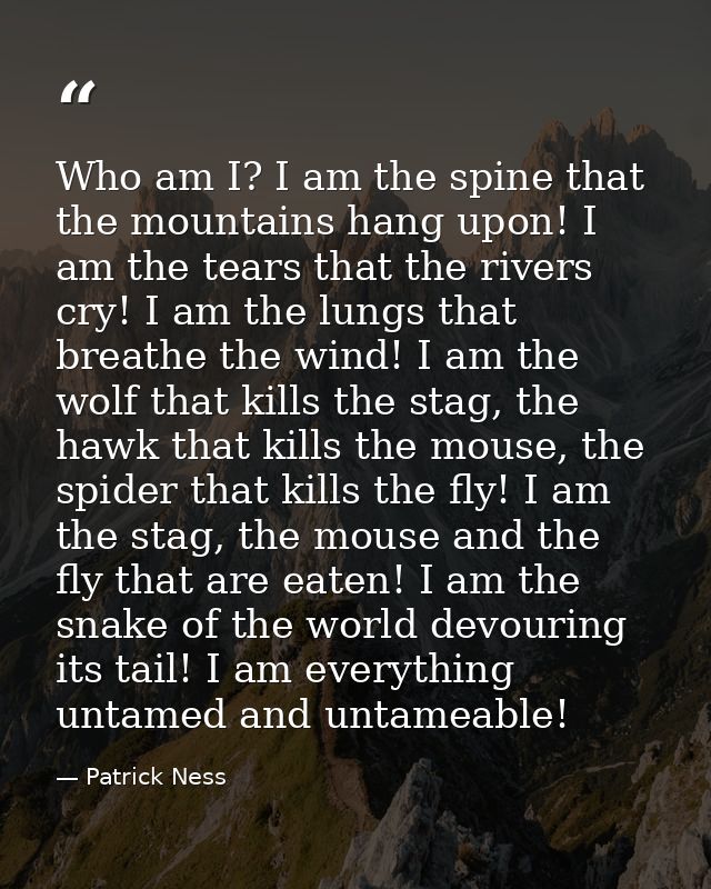Who am I? I am the spine that the mountains hang upon! I am the tears that the rivers cry! I am the lungs that breathe t — Patrick Ness