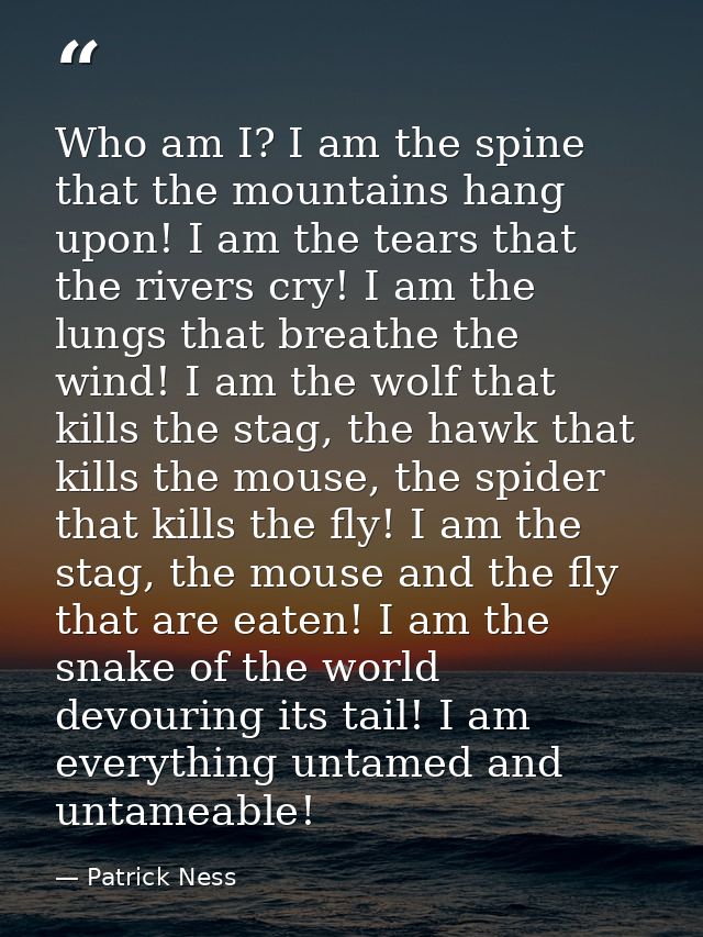 Who am I? I am the spine that the mountains hang upon! I am the tears that the rivers cry! I am the lungs that breathe t — Patrick Ness