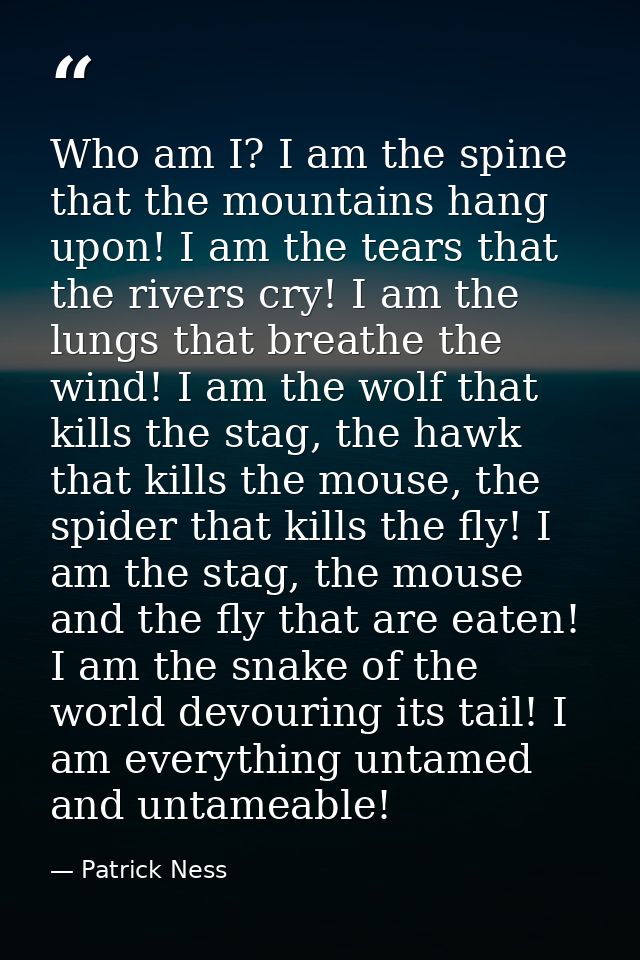 Who am I? I am the spine that the mountains hang upon! I am the tears that the rivers cry! I am the lungs that breathe t — Patrick Ness