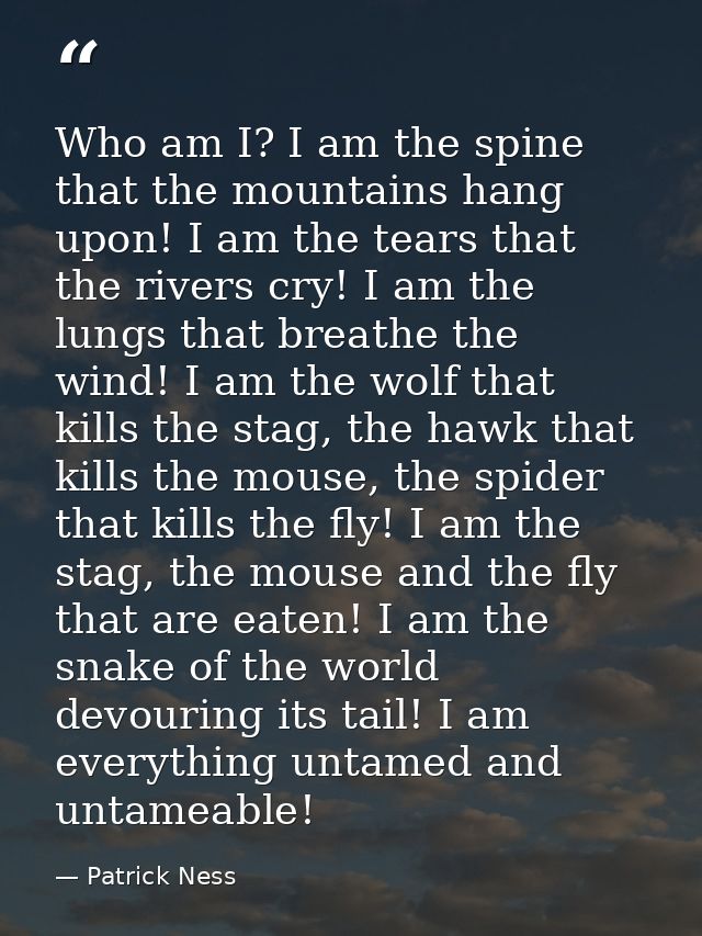 Who am I? I am the spine that the mountains hang upon! I am the tears that the rivers cry! I am the lungs that breathe t — Patrick Ness