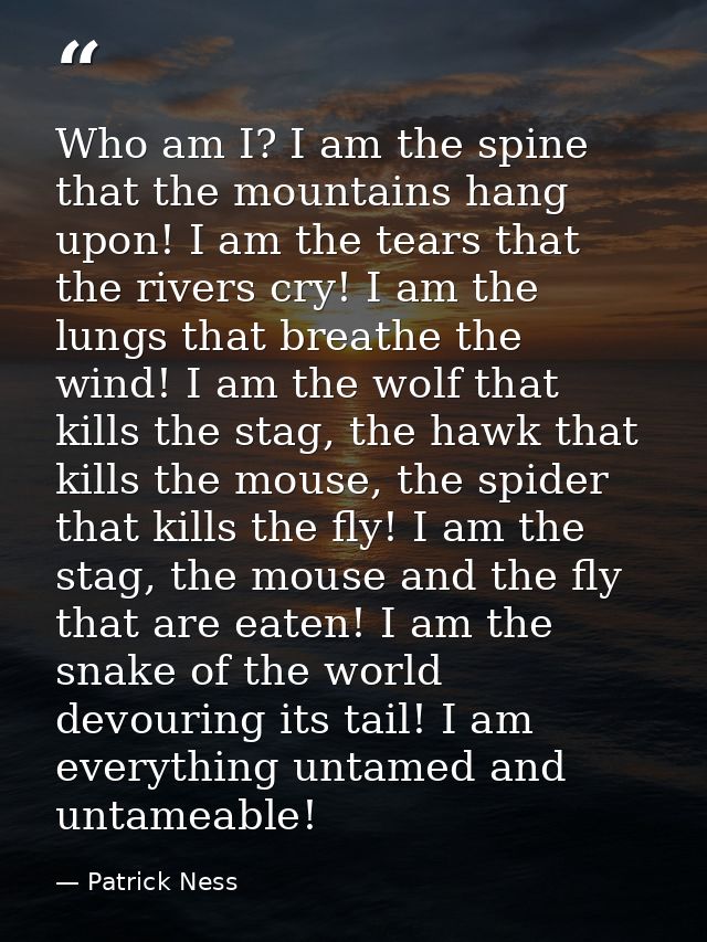 Who am I? I am the spine that the mountains hang upon! I am the tears that the rivers cry! I am the lungs that breathe t — Patrick Ness