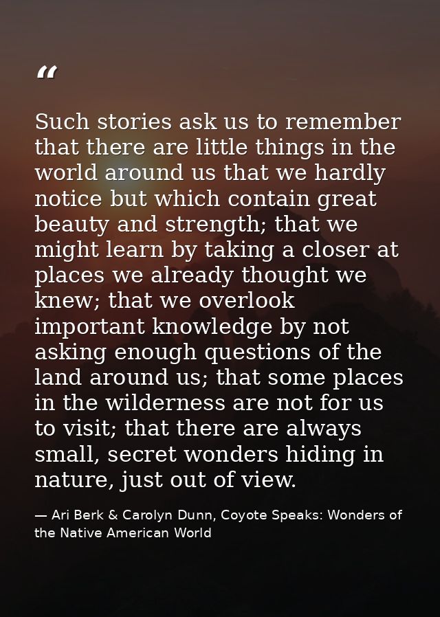 Such stories ask us to remember that there are little things in the world around us that we hardly notice but which cont — Ari Berk & Carolyn Dunn, Coyote Speaks: Wonders of the Native American World