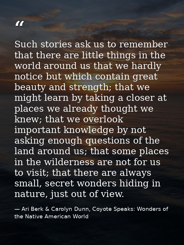 Such stories ask us to remember that there are little things in the world around us that we hardly notice but which cont — Ari Berk & Carolyn Dunn, Coyote Speaks: Wonders of the Native American World