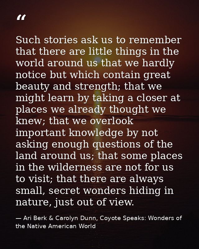 Such stories ask us to remember that there are little things in the world around us that we hardly notice but which cont — Ari Berk & Carolyn Dunn, Coyote Speaks: Wonders of the Native American World
