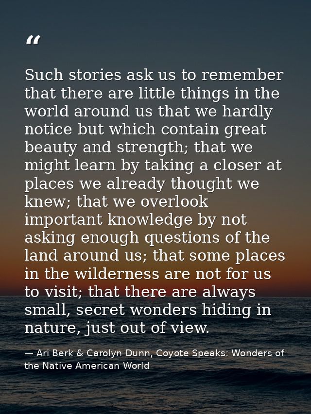 Such stories ask us to remember that there are little things in the world around us that we hardly notice but which cont — Ari Berk & Carolyn Dunn, Coyote Speaks: Wonders of the Native American World