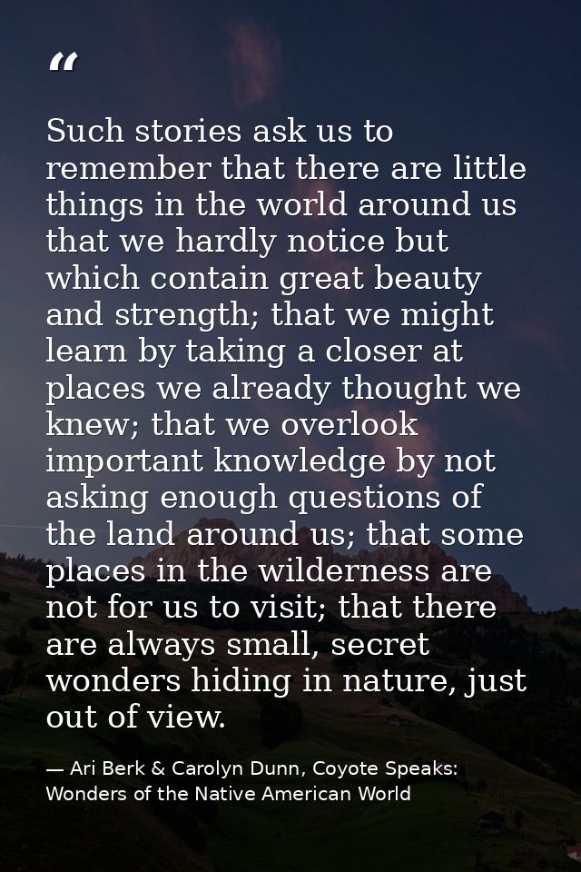 Such stories ask us to remember that there are little things in the world around us that we hardly notice but which cont — Ari Berk & Carolyn Dunn, Coyote Speaks: Wonders of the Native American World