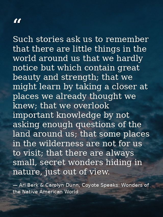 Such stories ask us to remember that there are little things in the world around us that we hardly notice but which cont — Ari Berk & Carolyn Dunn, Coyote Speaks: Wonders of the Native American World