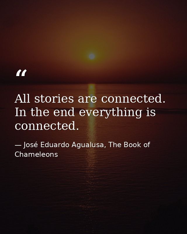 All stories are connected. In the end everything is connected. — José Eduardo Agualusa, The Book of Chameleons