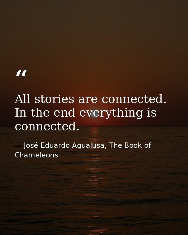 All stories are connected. In the end everything is connected. — José Eduardo Agualusa, The Book of Chameleons