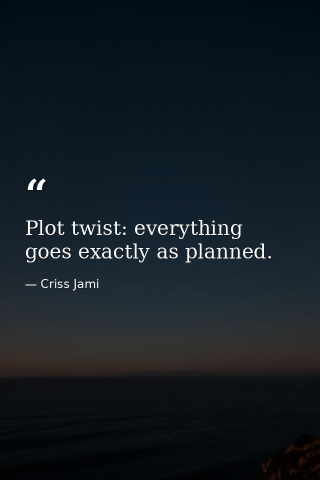 Plot twist: everything goes exactly as planned. — Criss Jami