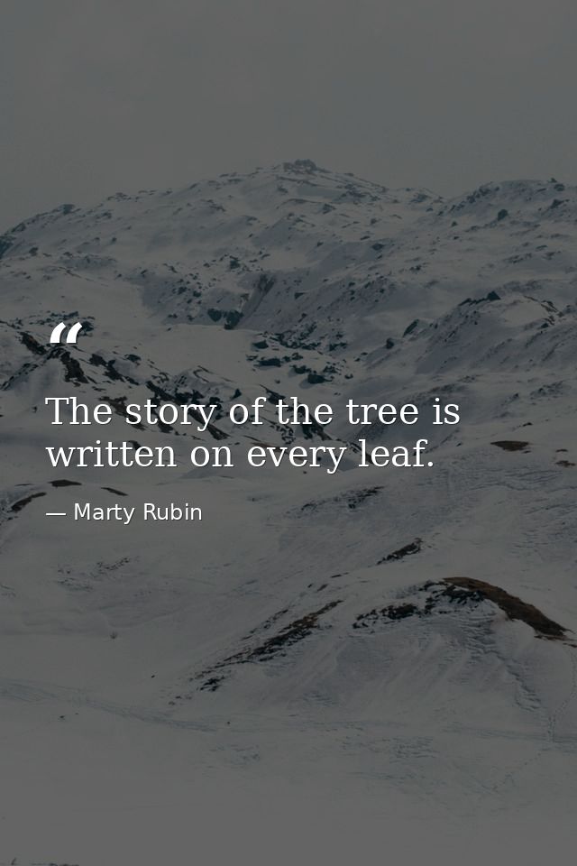 The story of the tree is written on every leaf. — Marty Rubin