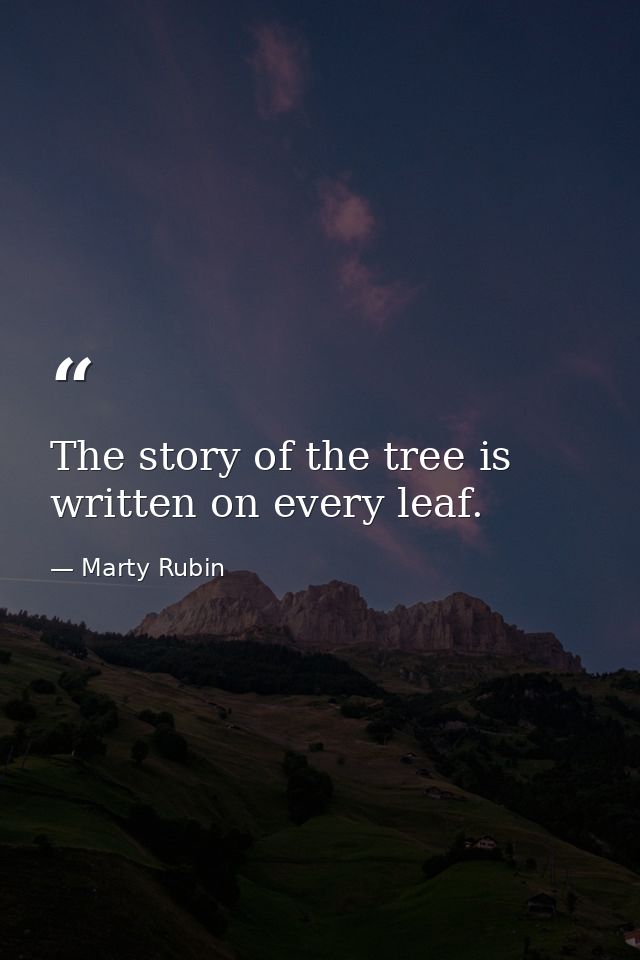 The story of the tree is written on every leaf. — Marty Rubin