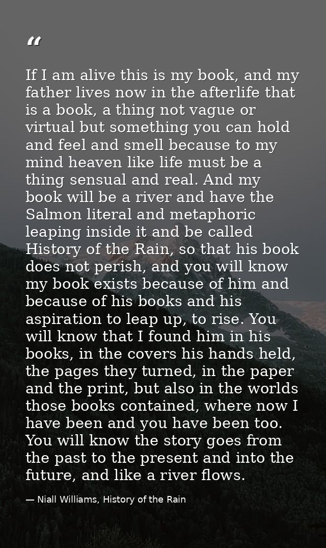 If I am alive this is my book, and my father lives now in the afterlife that is a book, a thing not vague or virtual but — Niall Williams, History of the Rain