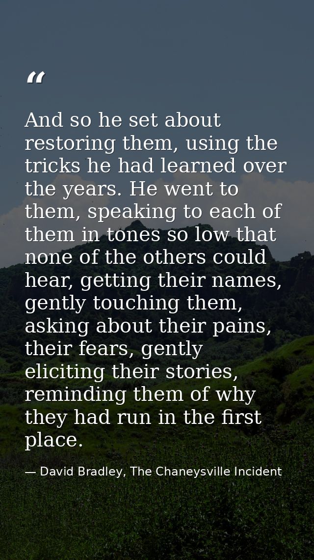 And so he set about restoring them, using the tricks he had learned over the years. He went to them, speaking to each of — David Bradley, The Chaneysville Incident