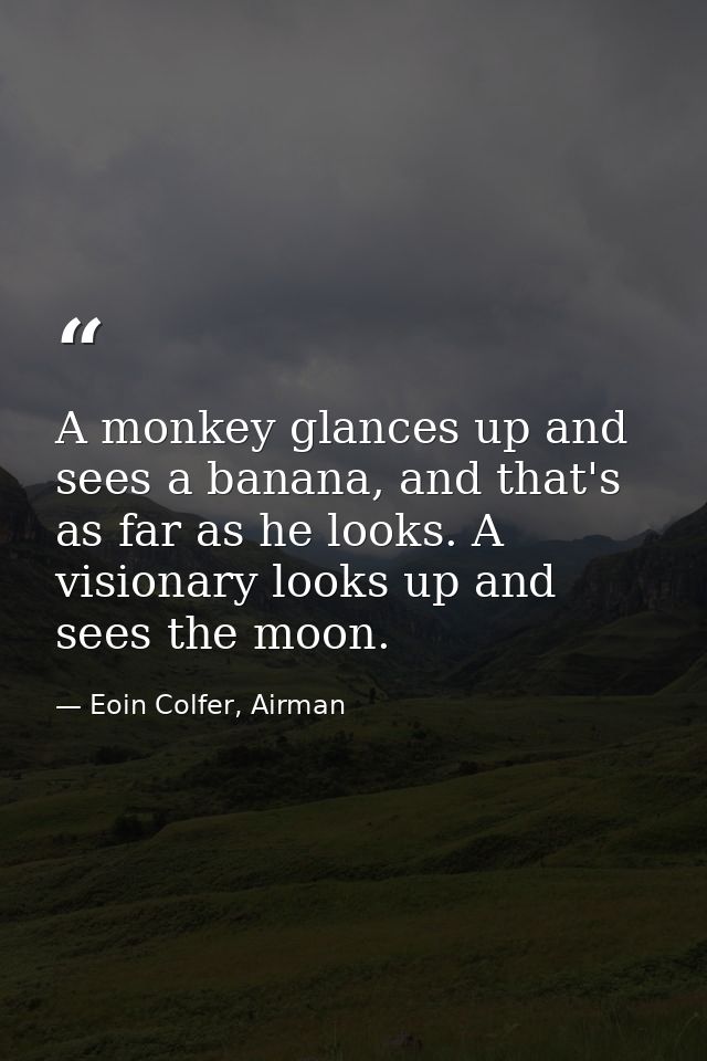 A monkey glances up and sees a banana, and that's as far as he looks. A visionary looks up and sees the moon. — Eoin Colfer, Airman