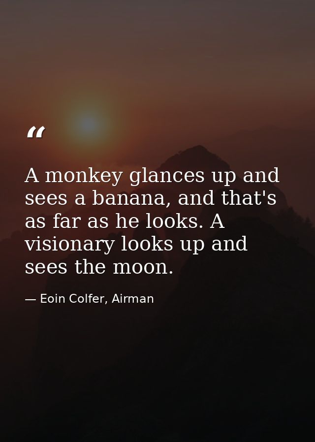A monkey glances up and sees a banana, and that's as far as he looks. A visionary looks up and sees the moon. — Eoin Colfer, Airman