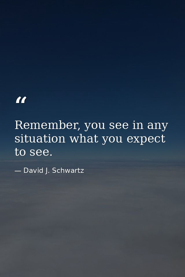 Remember, you see in any situation what you expect to see. — David J. Schwartz