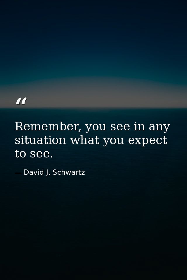 Remember, you see in any situation what you expect to see. — David J. Schwartz