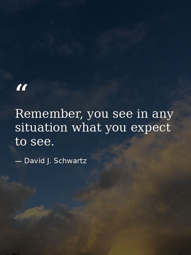 Remember, you see in any situation what you expect to see. — David J. Schwartz