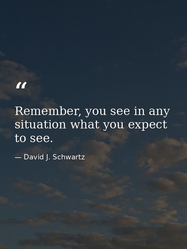 Remember, you see in any situation what you expect to see. — David J. Schwartz