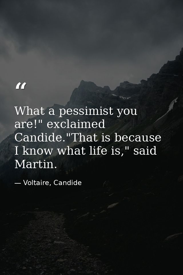 What a pessimist you are!" exclaimed Candide."That is because I know what life is," said Martin. — Voltaire, Candide