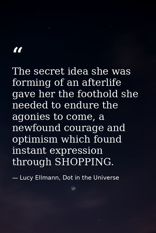 The secret idea she was forming of an afterlife gave her the foothold she needed to endure the agonies to come, a newfou — Lucy Ellmann, Dot in the Universe