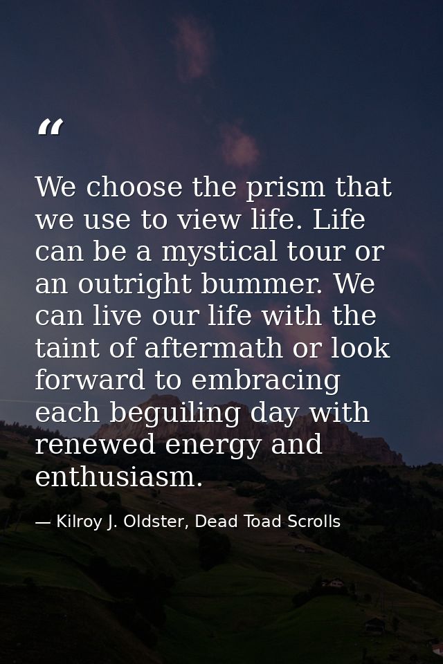 We choose the prism that we use to view life. Life can be a mystical tour or an outright bummer. We can live our life wi — Kilroy J. Oldster, Dead Toad Scrolls