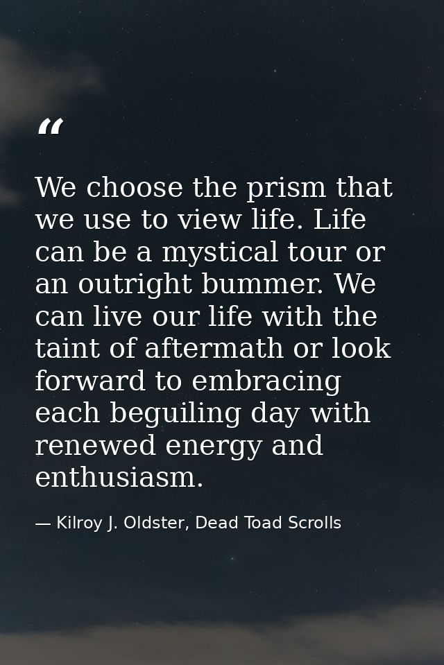 We choose the prism that we use to view life. Life can be a mystical tour or an outright bummer. We can live our life wi — Kilroy J. Oldster, Dead Toad Scrolls