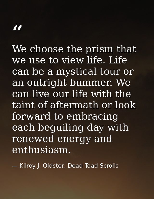 We choose the prism that we use to view life. Life can be a mystical tour or an outright bummer. We can live our life wi — Kilroy J. Oldster, Dead Toad Scrolls