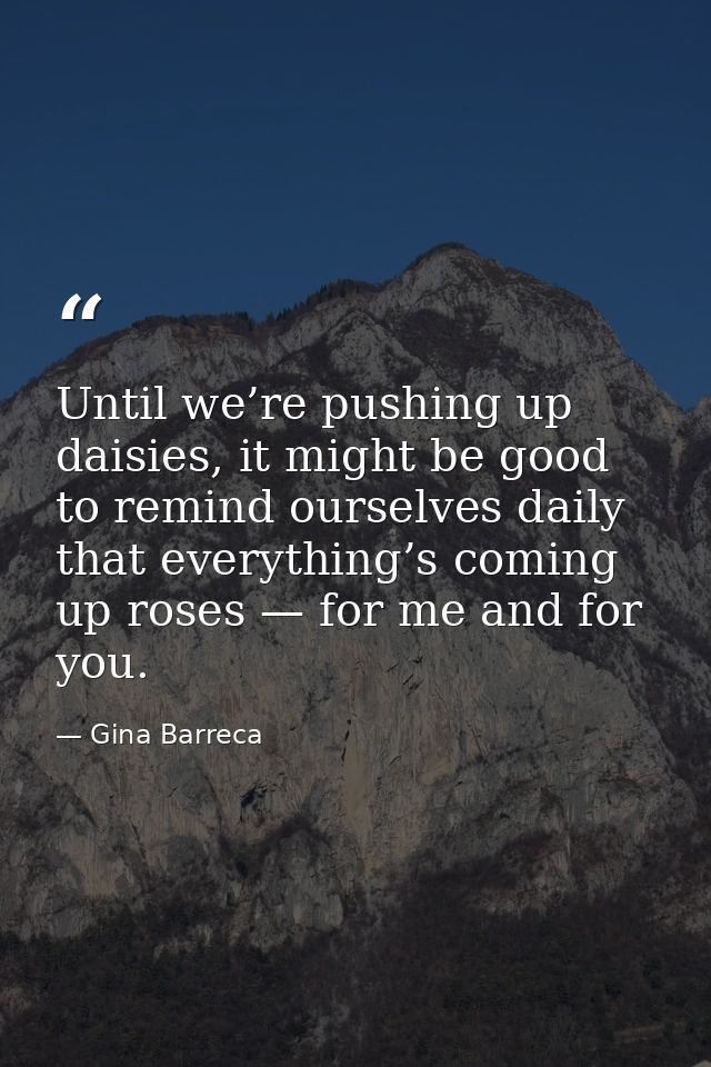 Until we’re pushing up daisies, it might be good to remind ourselves daily that everything’s coming up roses — for me an — Gina Barreca