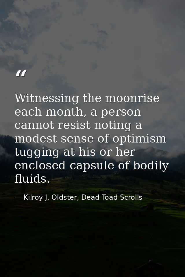 Witnessing the moonrise each month, a person cannot resist noting a modest sense of optimism tugging at his or her enclo — Kilroy J. Oldster, Dead Toad Scrolls