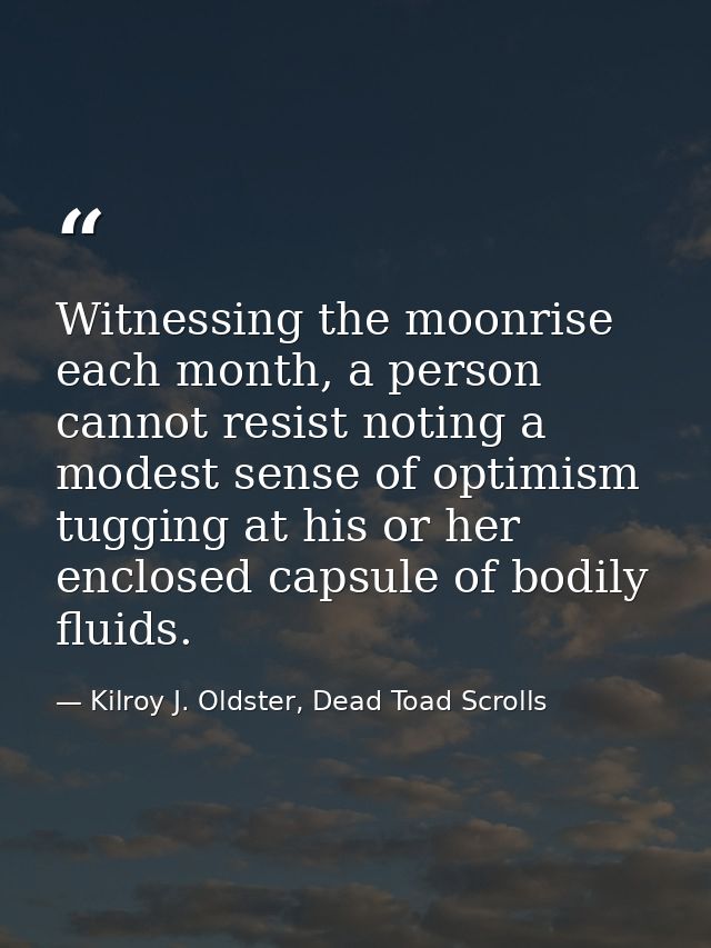 Witnessing the moonrise each month, a person cannot resist noting a modest sense of optimism tugging at his or her enclo — Kilroy J. Oldster, Dead Toad Scrolls