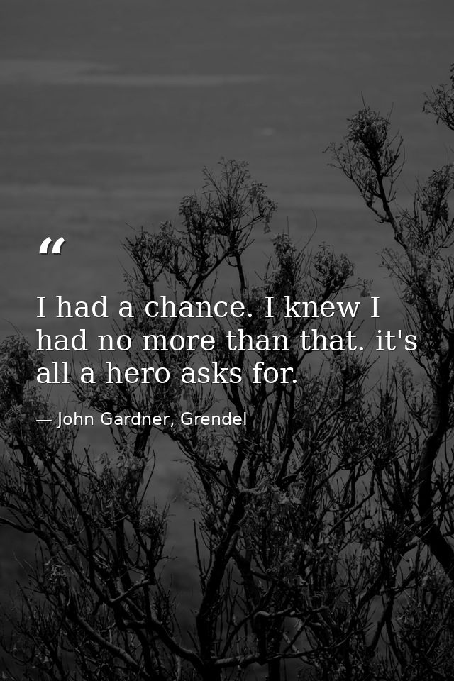 I had a chance. I knew I had no more than that. it's all a hero asks for. — John Gardner, Grendel