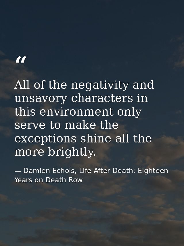 All of the negativity and unsavory characters in this environment only serve to make the exceptions shine all the more b — Damien Echols, Life After Death: Eighteen Years on Death Row