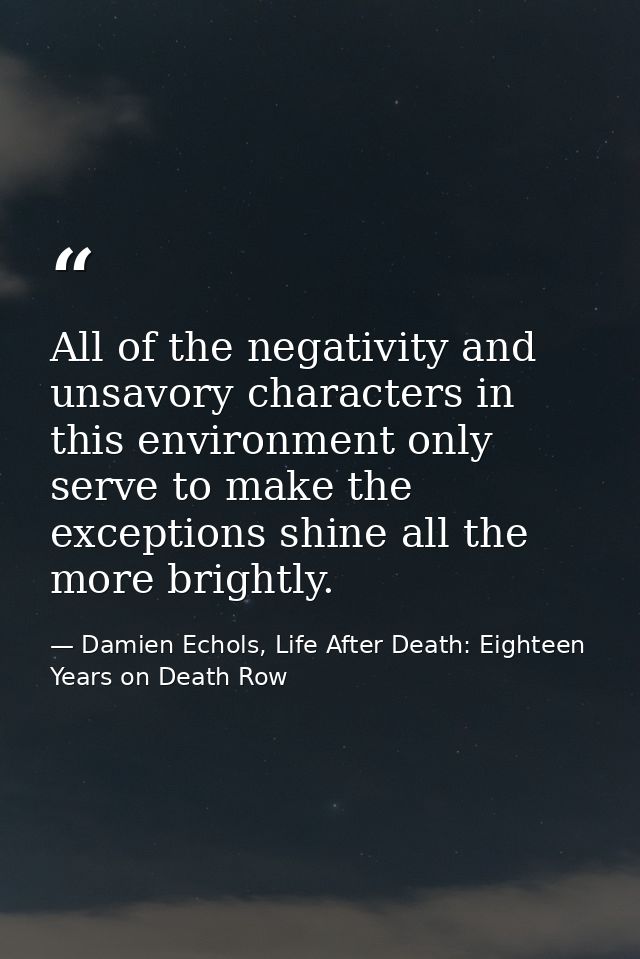 All of the negativity and unsavory characters in this environment only serve to make the exceptions shine all the more b — Damien Echols, Life After Death: Eighteen Years on Death Row