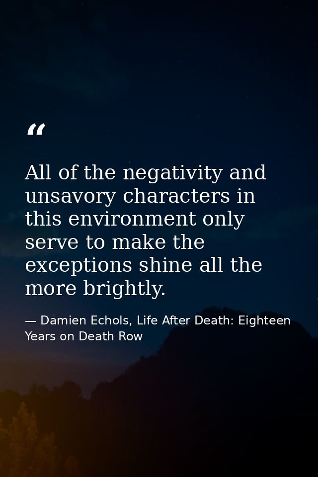 All of the negativity and unsavory characters in this environment only serve to make the exceptions shine all the more b — Damien Echols, Life After Death: Eighteen Years on Death Row