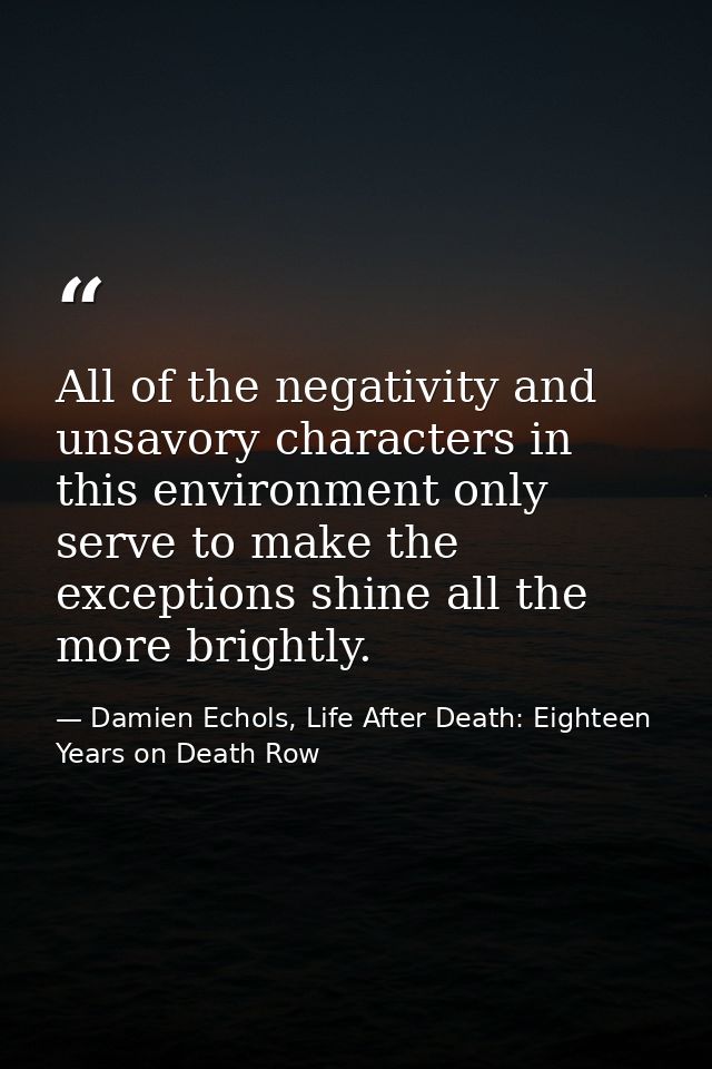 All of the negativity and unsavory characters in this environment only serve to make the exceptions shine all the more b — Damien Echols, Life After Death: Eighteen Years on Death Row